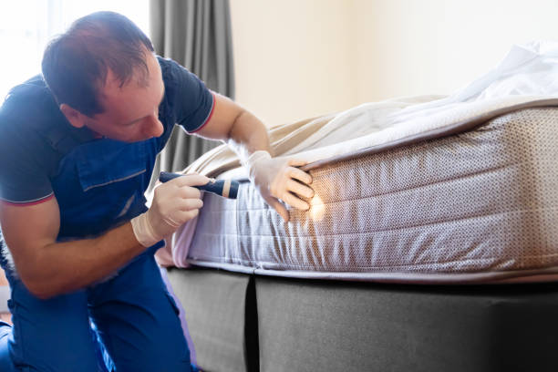 Best Bed Bug Extermination  in Brookings, OR